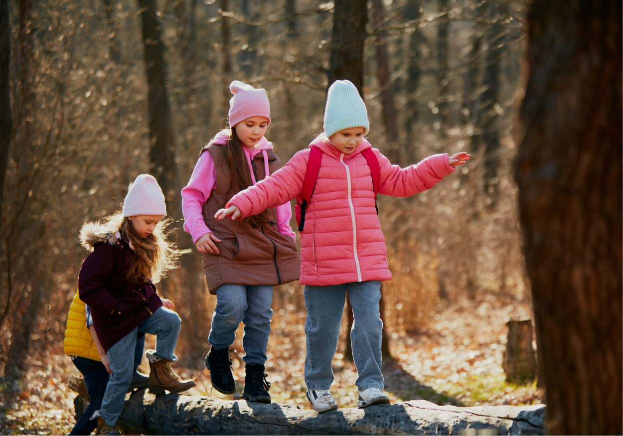 Natuur Boomstam Blog short