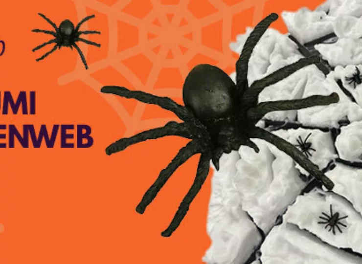Halloween Knutseltip: Spinnenweb in Schaumi