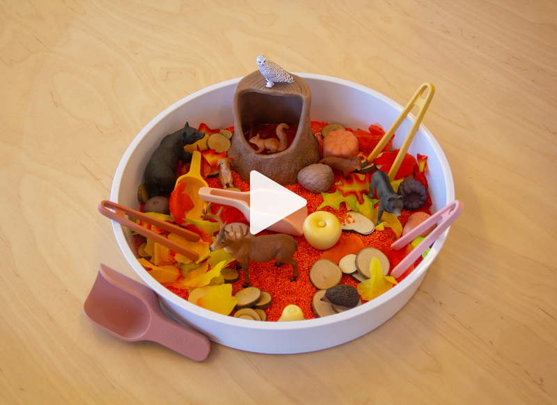 Playtray in herfst bos thema